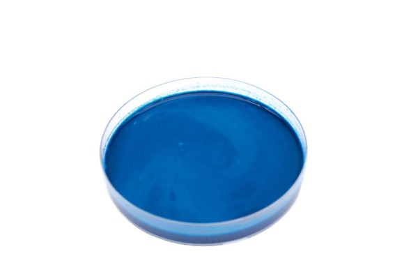 Wässrige Pigmentpaste Blau 1.0kg