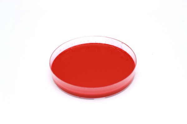 Wässrige Pigmentpaste Rot 1.0kg