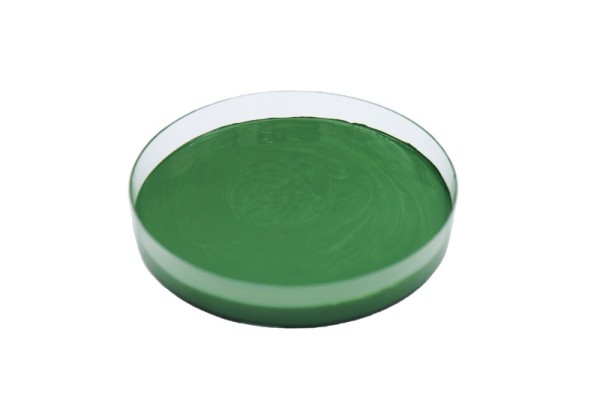 Pigmentpaste Vocaplast-L Chromoxidgrün 17 in Leinöl 1.0kg